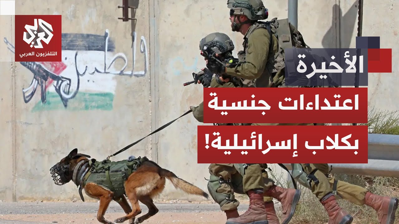 اغتصاب بكلاب السجن.. التلفزيون العربي يطلع على أرشيف خاص ويعرض شهادات صادمة لفظائع يرتكبها الاحتلال