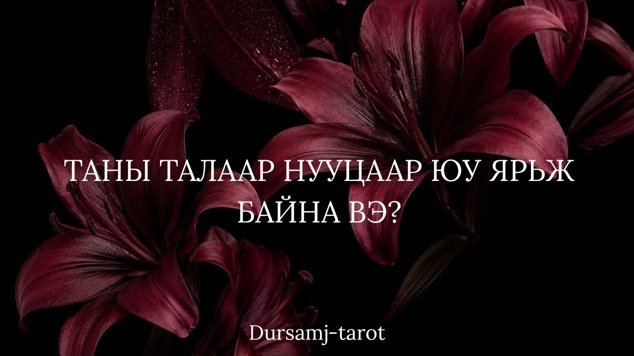 ТАНЫ ТАЛААР НУУЦААР ЮУ ЯРЬЖ БАЙНА ВЭ? 🔮 Хэн эхлүүлсэн бэ? ТӨЛӨӨС НЬ ЮУ ВЭ?
