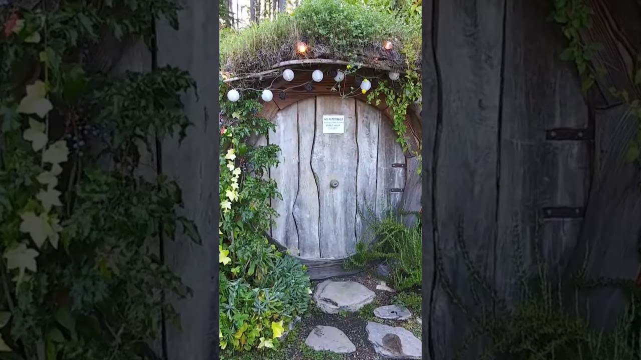 Hobbit House In The Woods #selfbuilding #selfbuild #selfbuilt #builders #buildersuk #construction