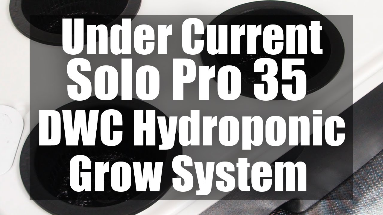 Current Culture Under Current Solo Pro 35 Gallon Review - Deep Water Culture Hydroponic Grow System