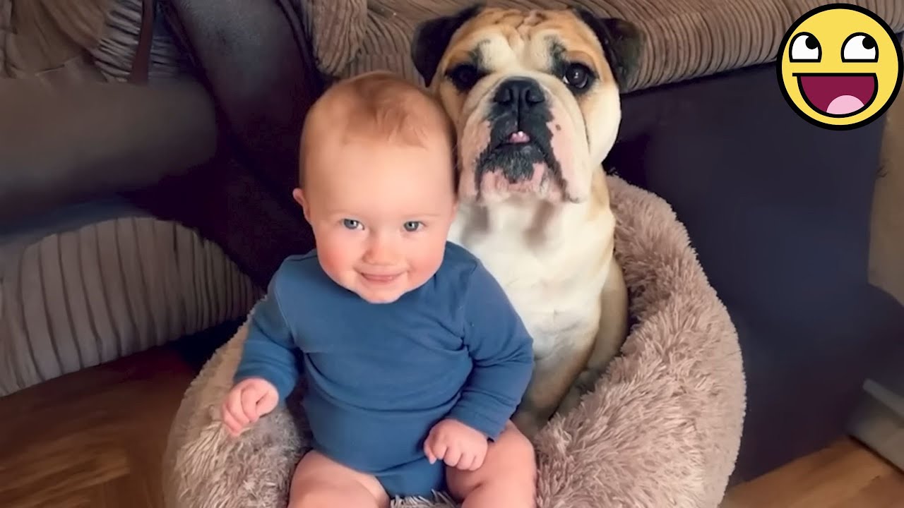 When Your Baby and Dog Have A Secret Language ❤️