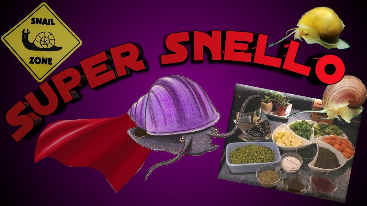 SUPER Snello: Загадочный корм для улиток своими руками