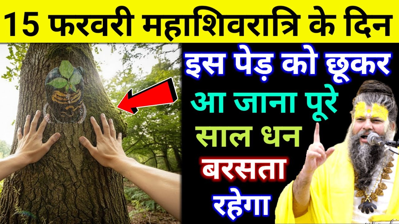 15 फरवरी महाशिवरात्रि के दिन इस पेड़ को छूकर आ जाना तत्काल गरीबी होगी दूर!! #mahashivratri #upay