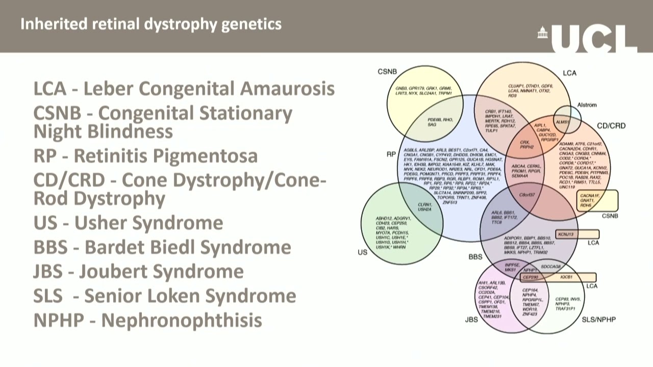 Professionals' Conference 2025 - Current developments in inherited retinal dystrophy (IRD) research