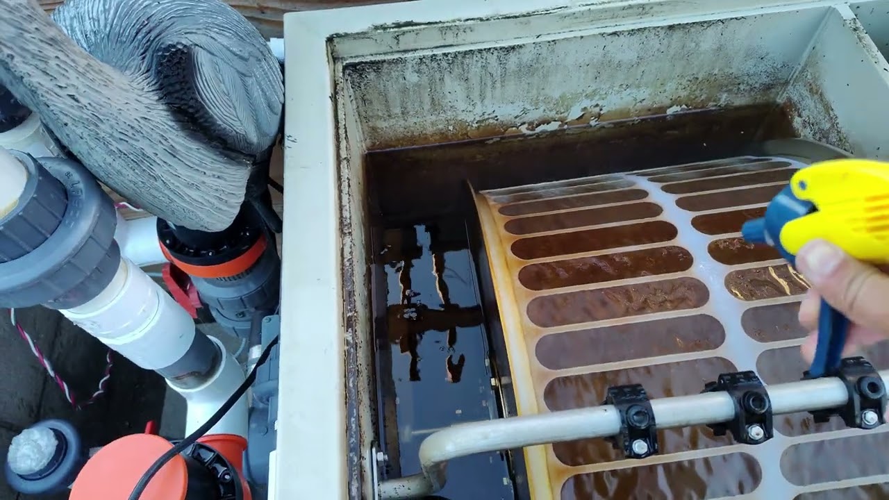 The best way to clean your RDF screen