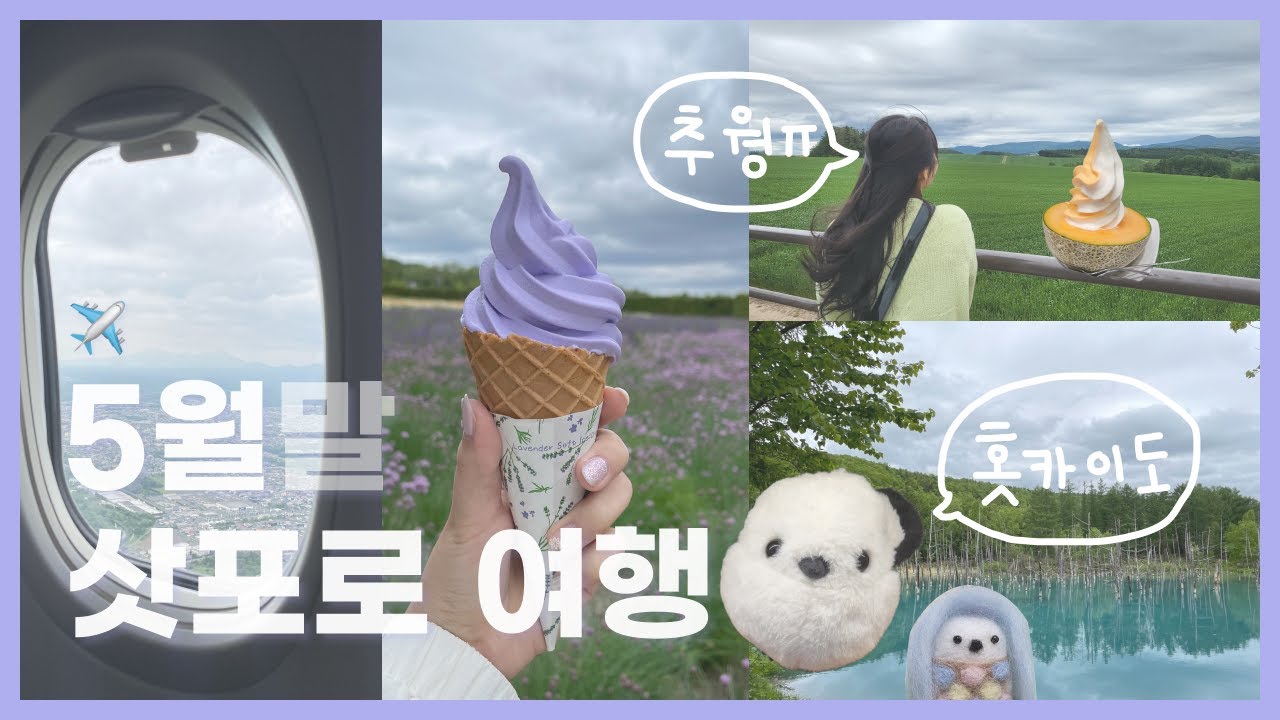 5월 삿포로 여행 브이로그✈️ | 삿포로, 오타루, 비에이 투어 | 홋카이도의 여름은 추워🥶