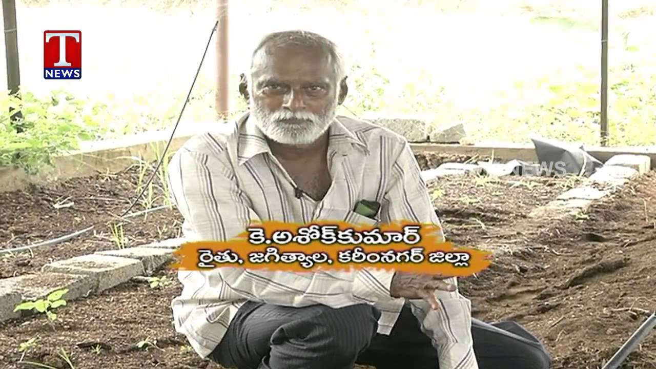 Ashok Kumar Natural Farming 7