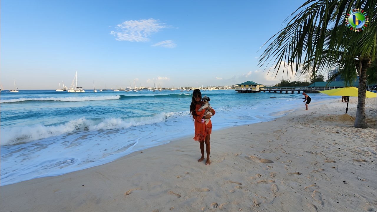 February 10, 2026 - The Beauty & Power of North Swells at Pebbles Beach (Barbados Live)
