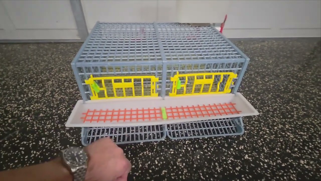 Two-section Quail Cage 