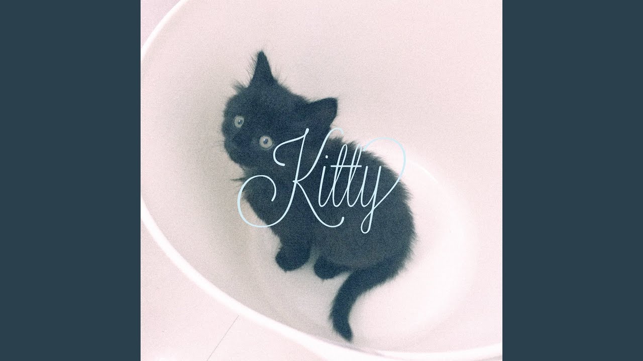 Kitty