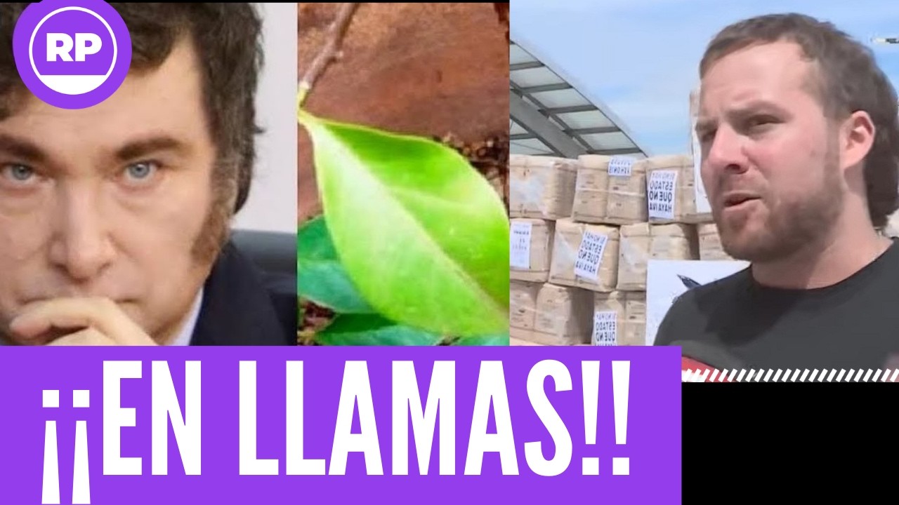 ¡¡SE PICO!! YERBATERO EN LLAMAS SE PLANTÓ YLE CANTÓ LAS 40 A MILEI