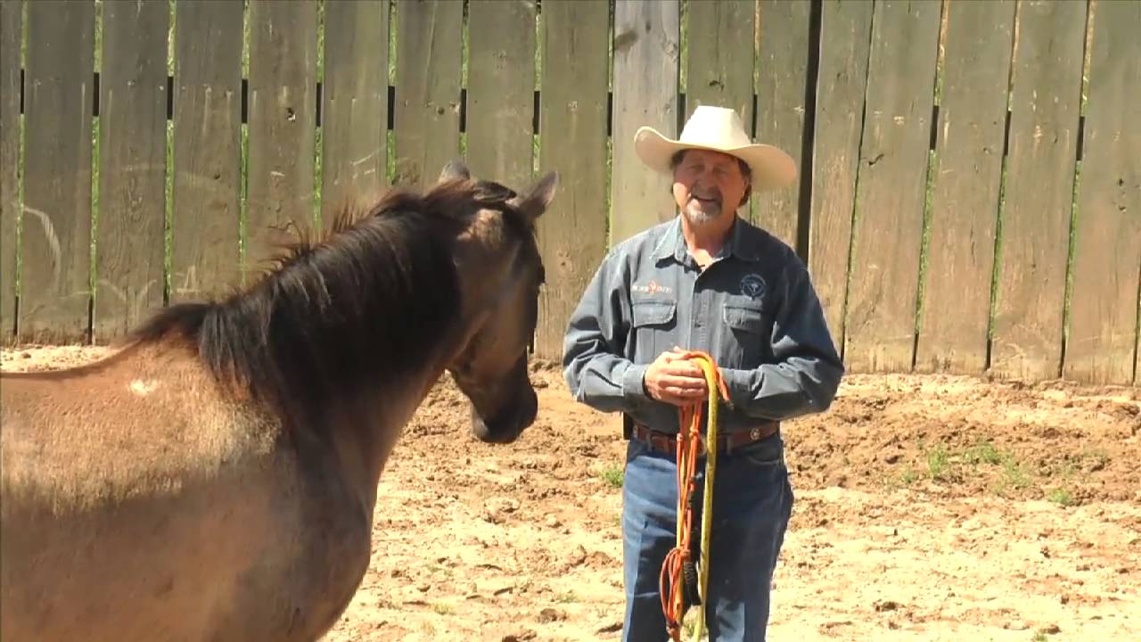 Horse Tales Bruce Anderson Life 1 #115