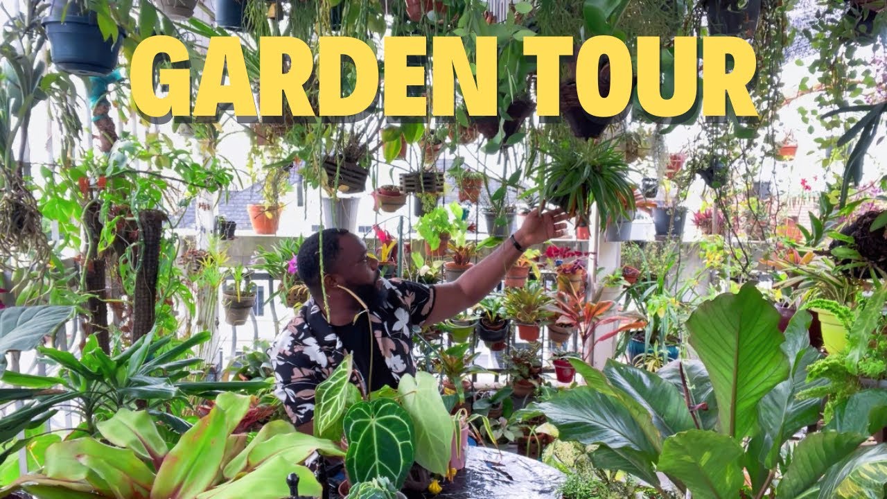 Balcony Jungle Garden. Touring a balcony garden packed with plants!