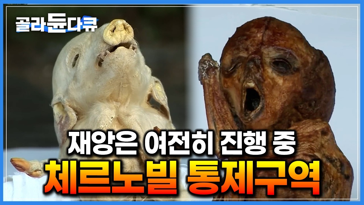 ‘인류 역사상 최악의 사고’ 유령도시 된 체르노빌 통제구역 직접 가봤더니｜방사능 피폭된 생명체들은 어떻게 됐을까｜우크라이나｜세계테마기행｜#골라듄다큐