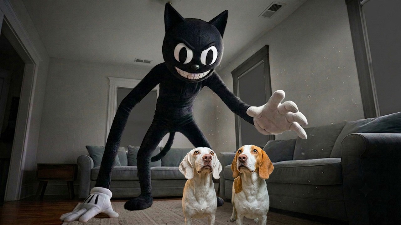 Dogs vs GIANT Cartoon Cat!
