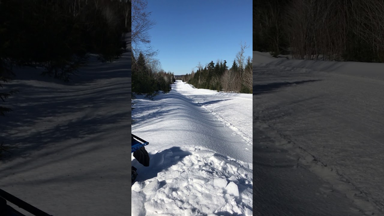 2018 Skidoo BCX 850 vs 2018 Polaris SKS 800