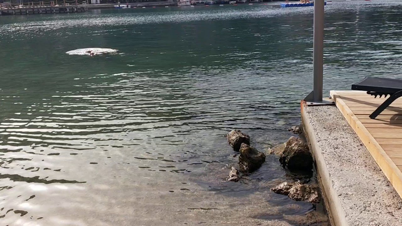 TURUNÇ RESORT HOTEL İNCELEME 2 ( HOTEL REVİEW)