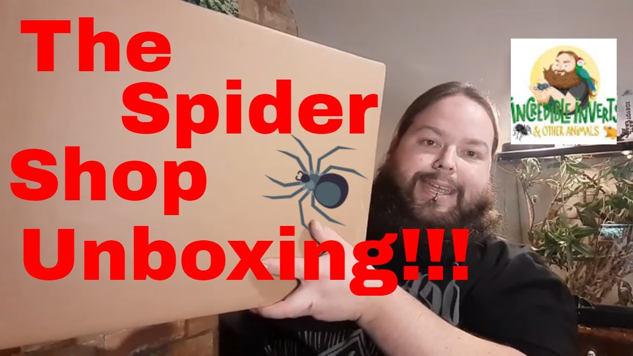 The Spider Shop Unboxing & Set ups