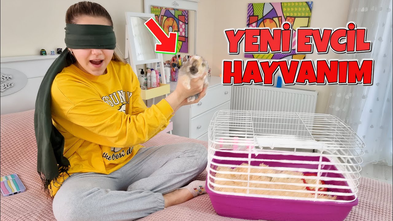 MELİKEYE YENİ EVCİL HAYVAN ALDIK (isim Arıyoruz) OyuncaX TV
