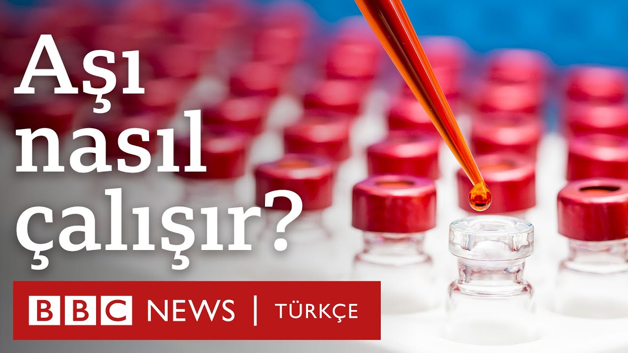 Aşı nedir? Nasıl çalışır? - 
