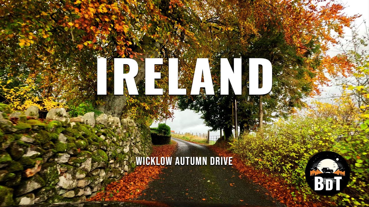 Wicklow Mountains Autumn Drive (4K POV) | Beautiful Irish Forest Scenery & Lough Tay (Guinness Lake)