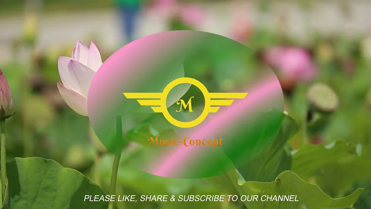 Lotus Love [ 396 hz ] - Music Video - Music Concept Release [ no copyright music ]