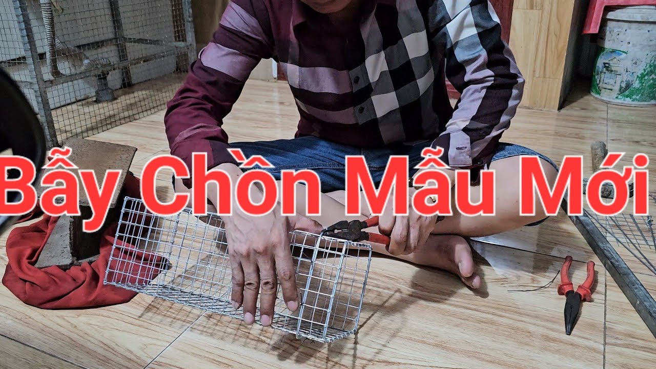 Chia Sẽ Cách Làm Bẫy Chồn,Mẫu Mới của Năm 2023,,