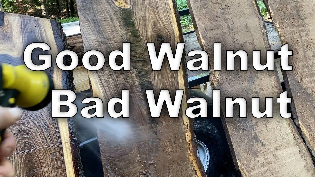 Good and Bad Walnut on the sawmill