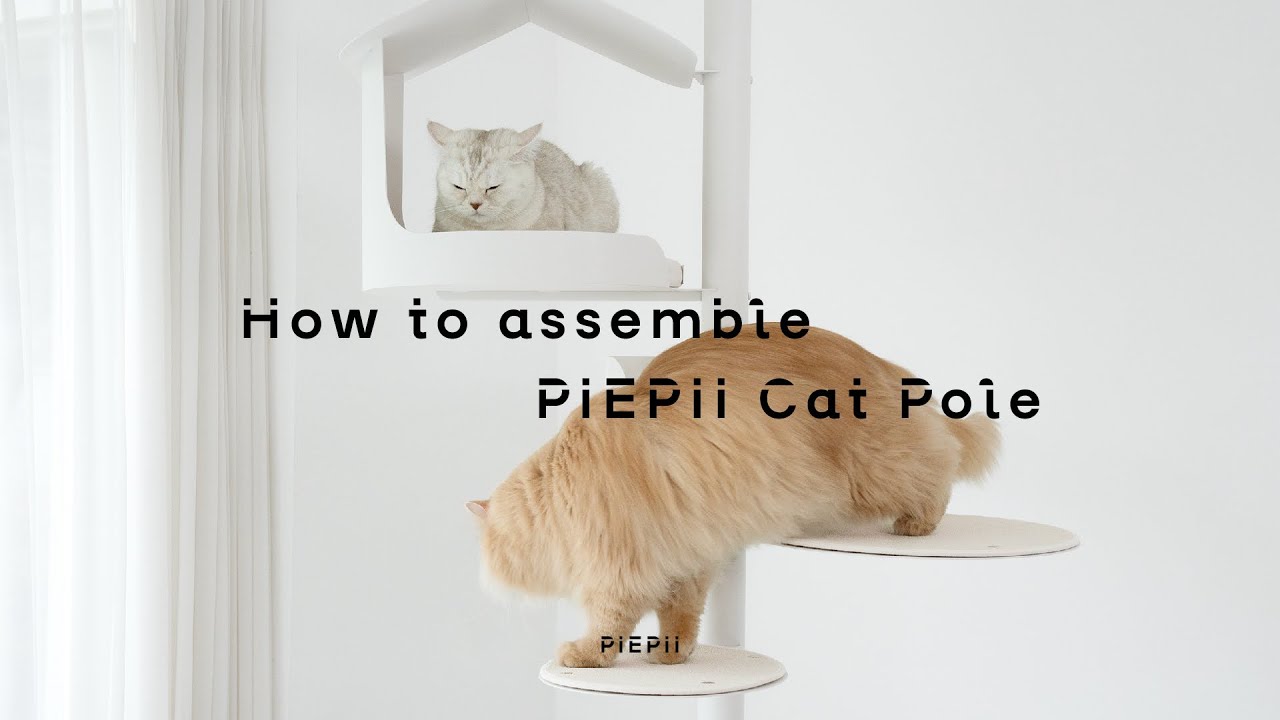 [파이피] PIEPII CAT POLE assembly I 캣폴 설치 방법