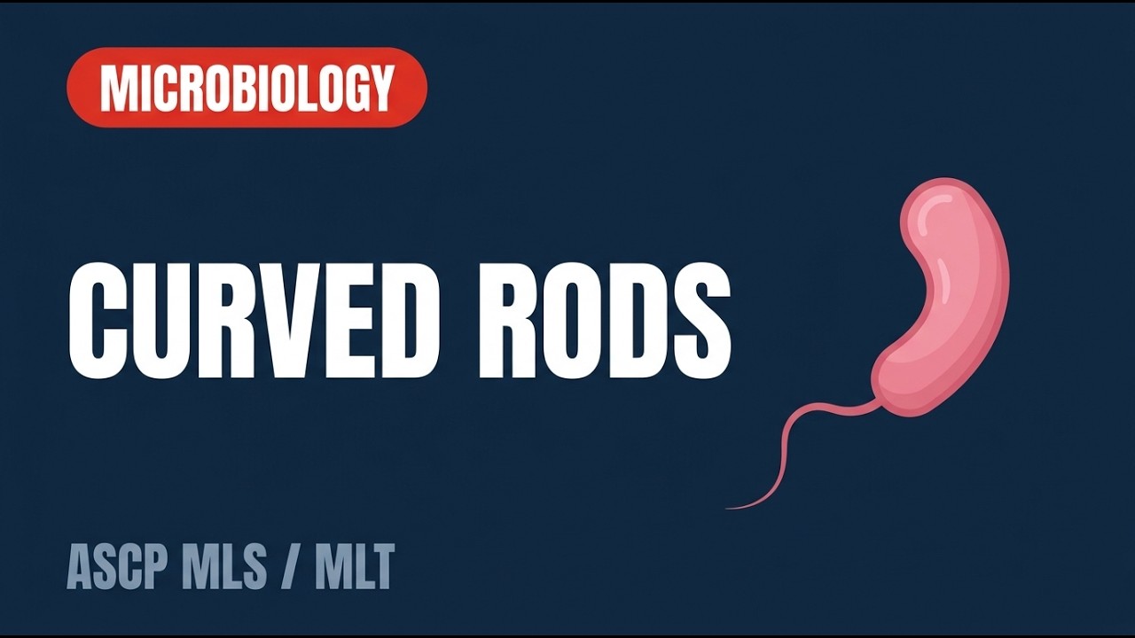 Vibrio, Campylobacter, Helicobacter & Aeromonas | ASCP Exam