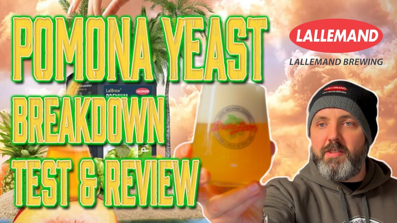 Pomona Yeast from Lallemand: NEIPA & Hazy Pale Ale Strain - Breakdown, Test & Review + Recipe! 🍍🍺