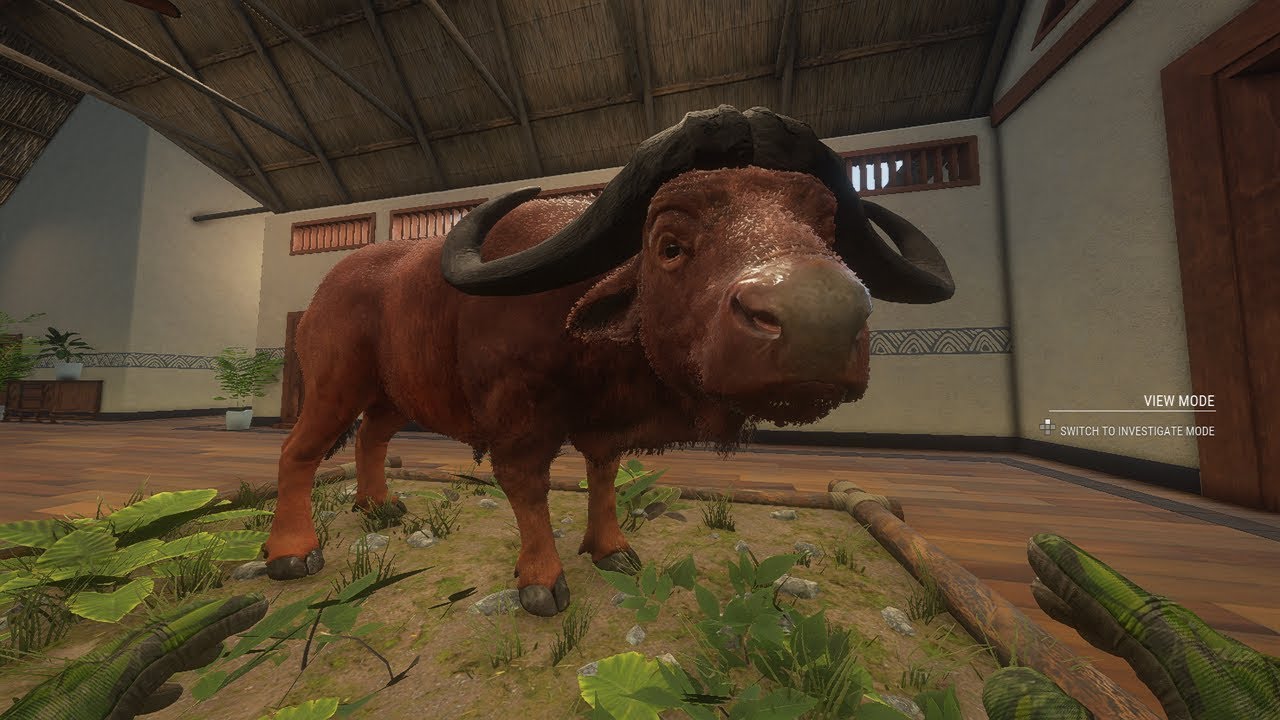 MY first Diamond Cape Buffalo!!! TheHunters Call Of The Wild!