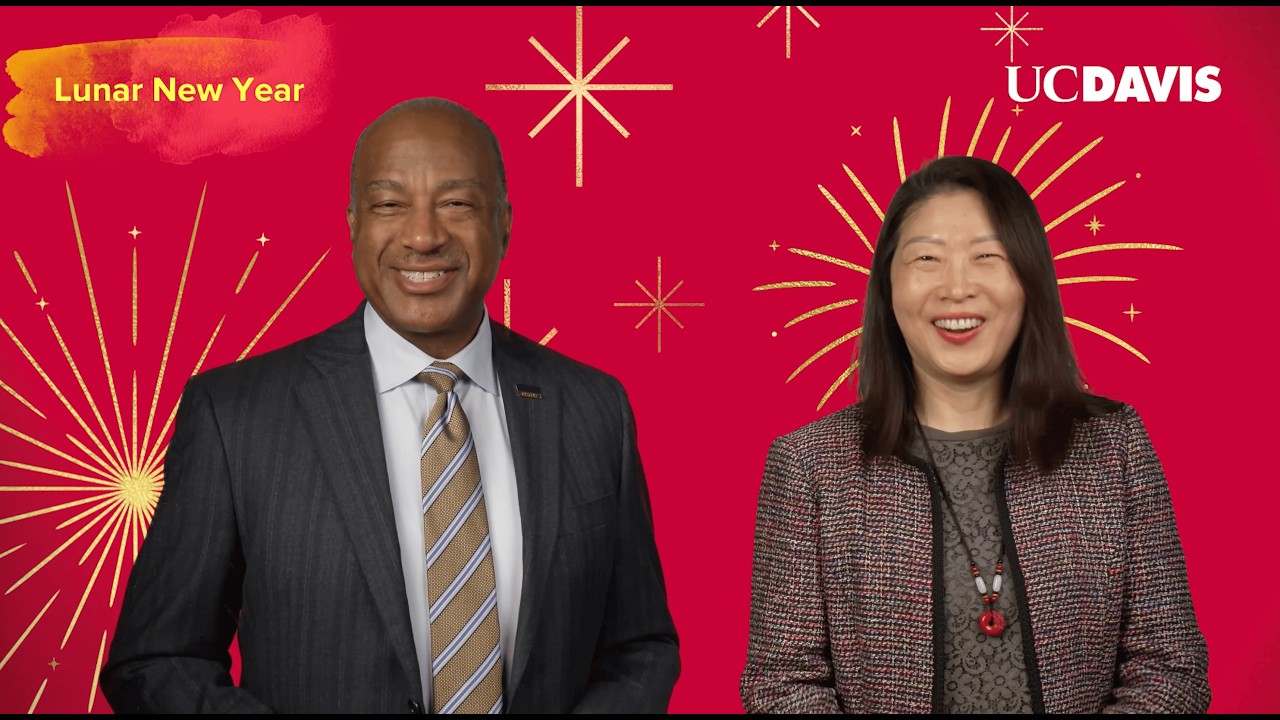 Lunar New Year 2026