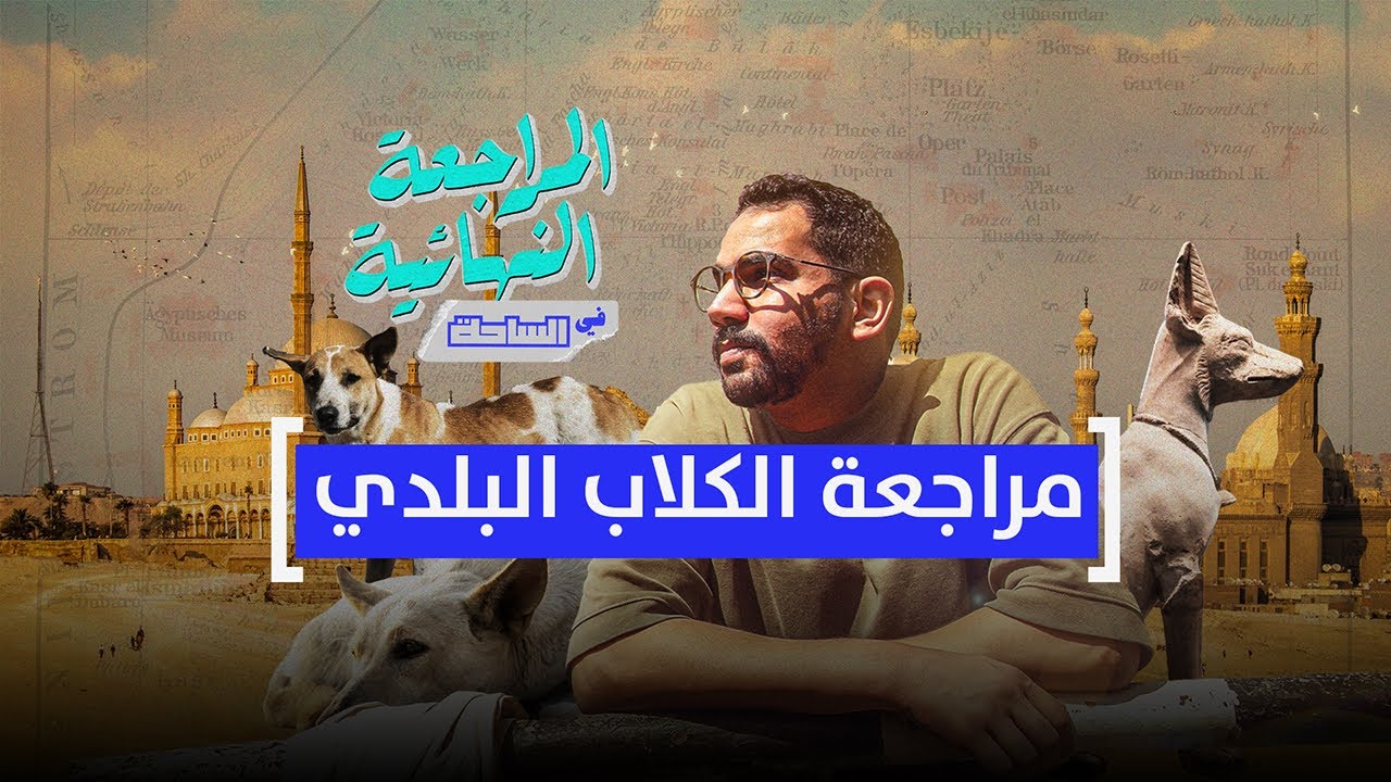 المراجعة النهائية في الساحة.. مراجعة الكلاب البلدي
