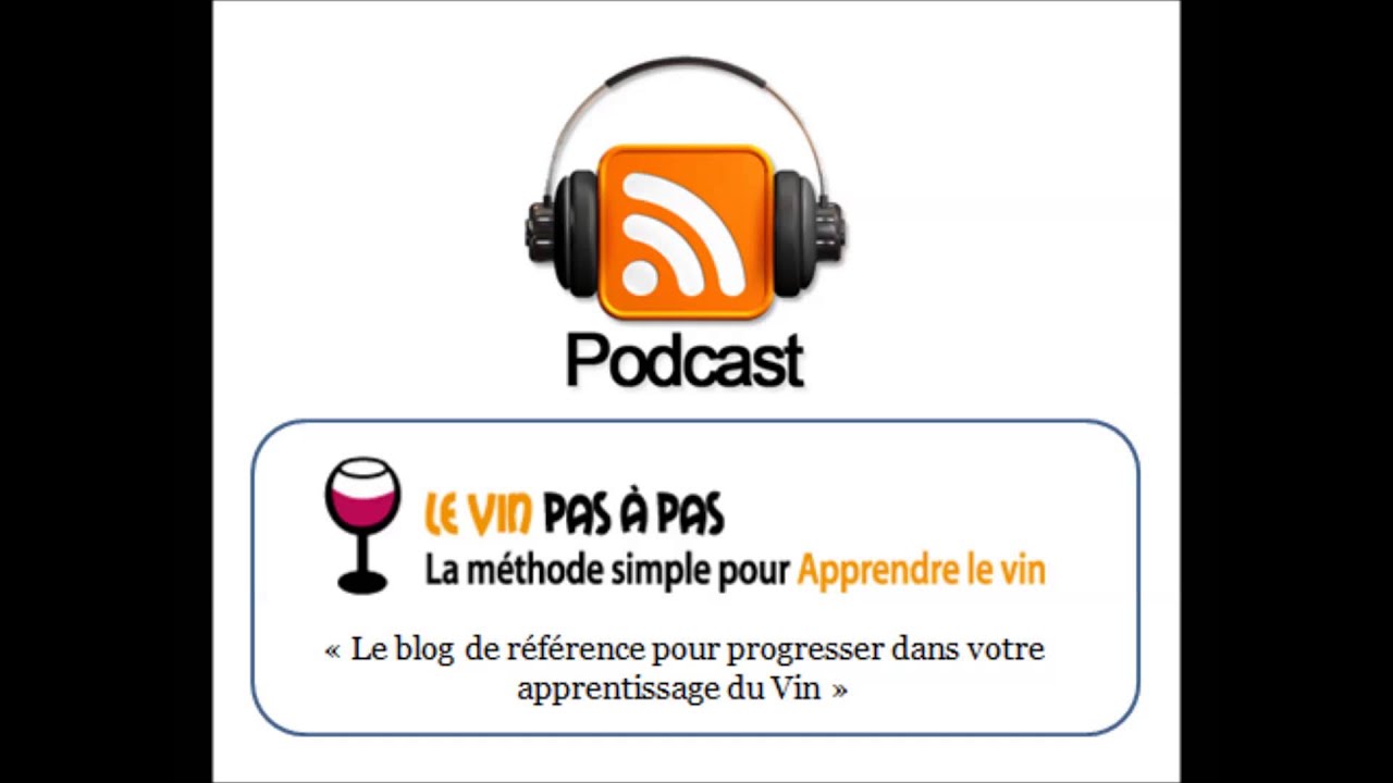 Quelques mots pour mieux décrire le vin que vous dégustez