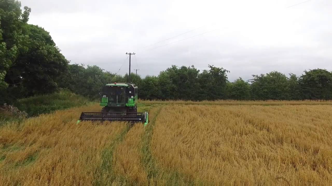 Naughtons Tillage Roscommon Cutting oats with a Deutz Faht 6040 Drone Footage