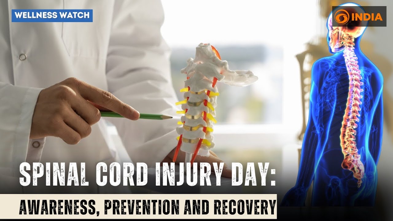 Spinal Cord Injury Day: Awareness, Prevention and Recovery