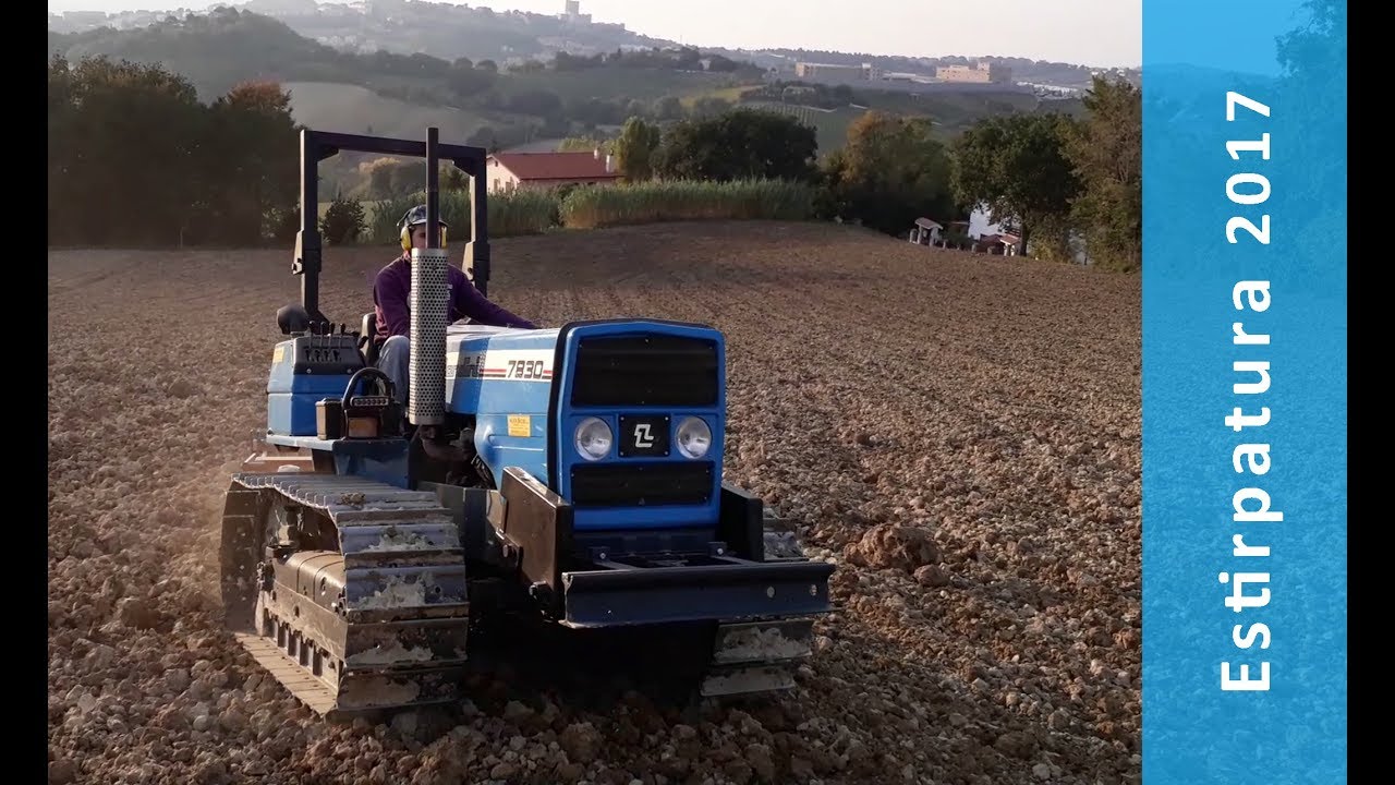 Estirpatura - 2017 - Landini 7830