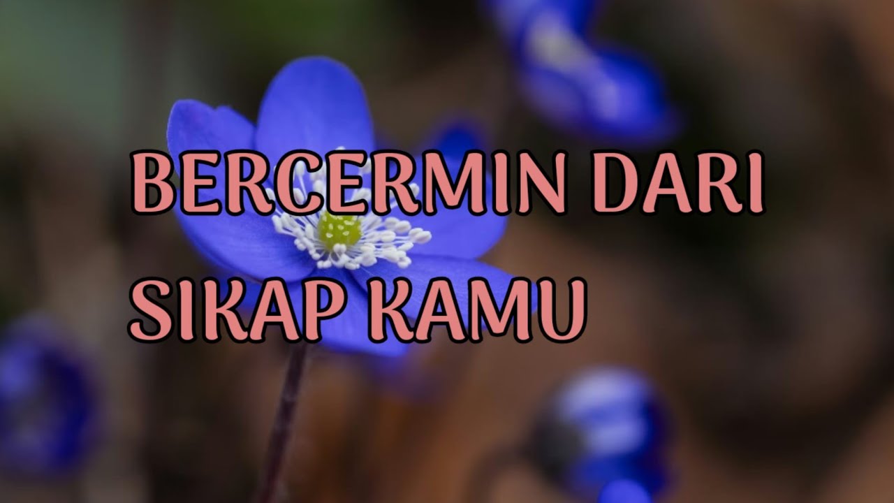 🎆 BERCERMIN DARI SIKAP KAMU 🎆