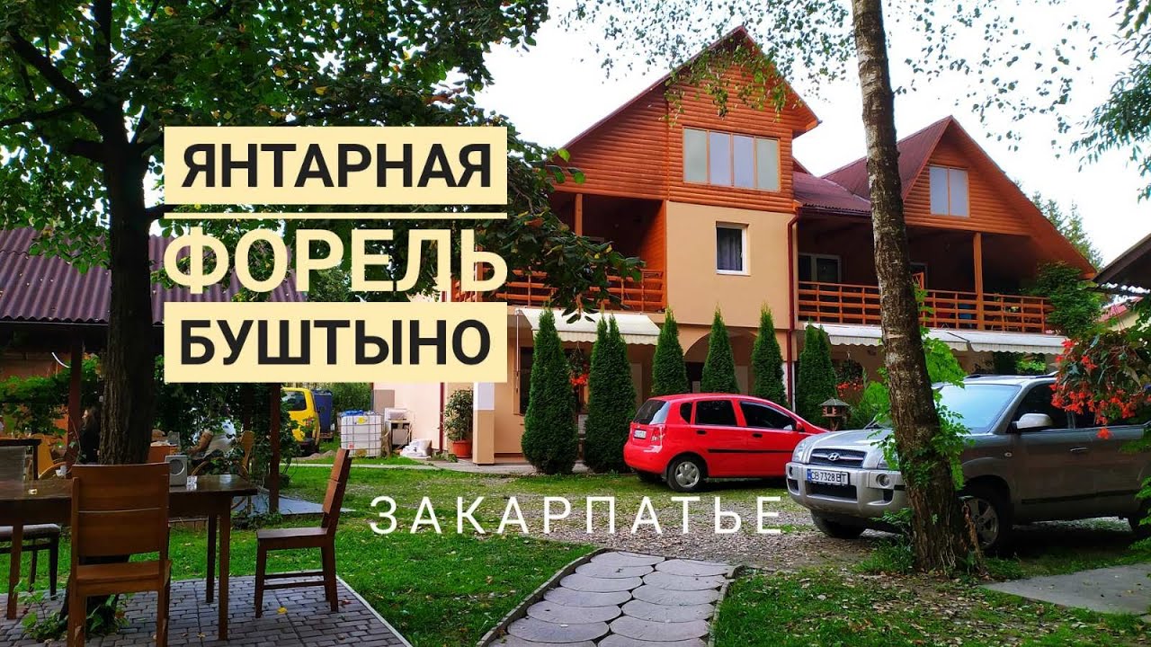 Янтарная форель в Закарпатье! Где поесть вкусную форель и осетра, как ее разводят! Буштыно.