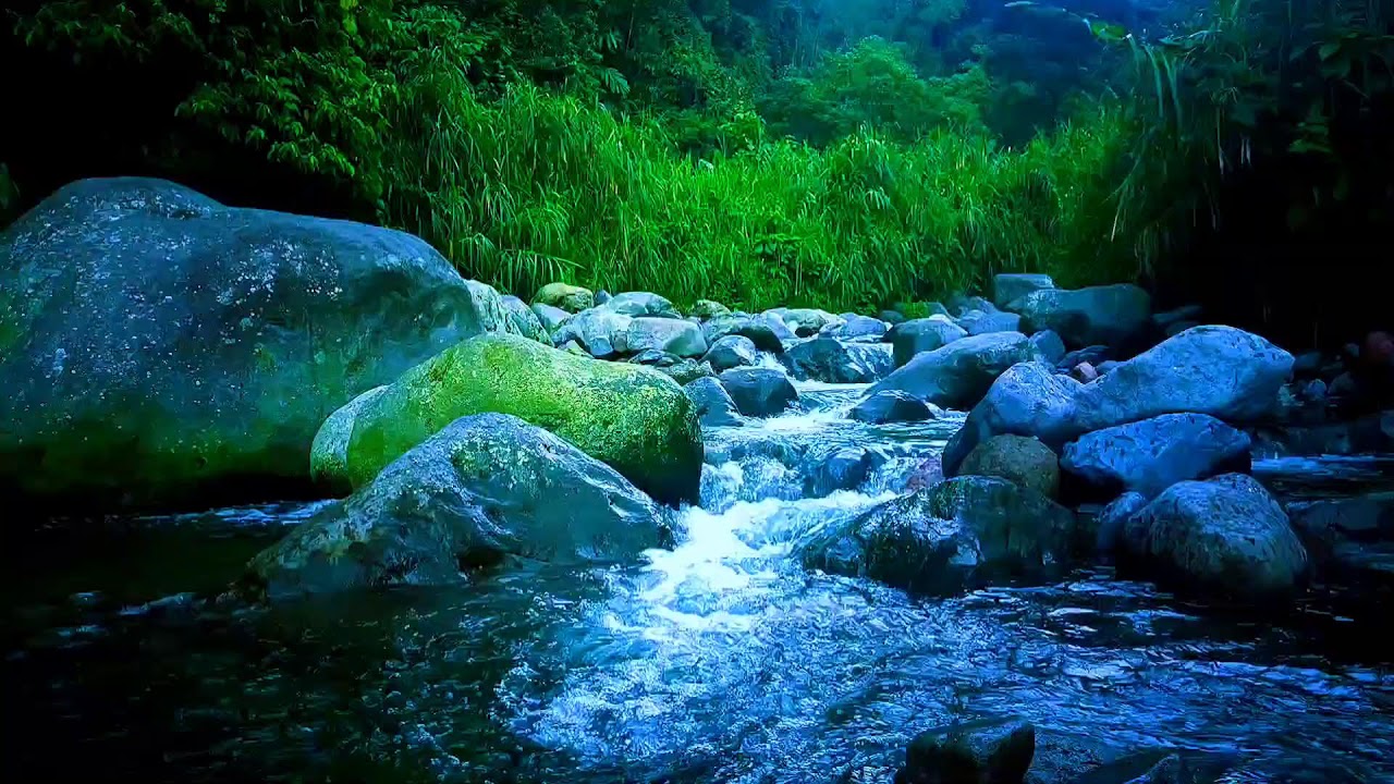 🌊 Peaceful Hidden River ASMR Sounds for Deep Sleep, Relaxation & Stress Relief