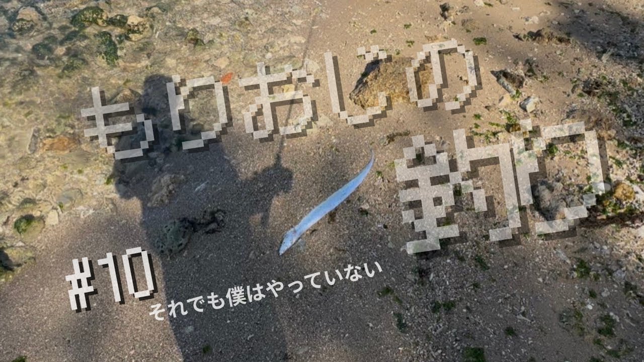 【沖縄釣り】良型チヌに出会うがしかし。