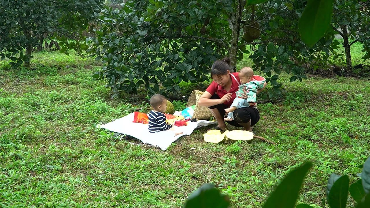 funny fruit harvesting video. bamboo bathroom design, taking care of two sons, cooking