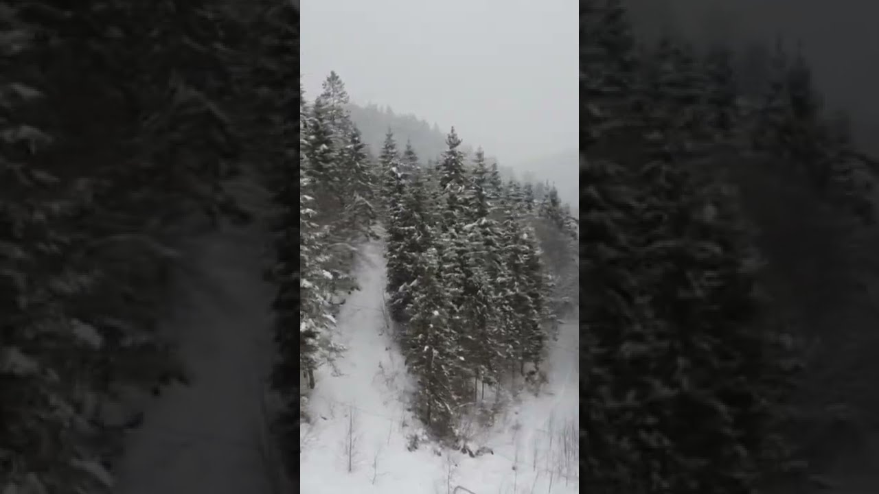 Dji mavic mini 2 crash