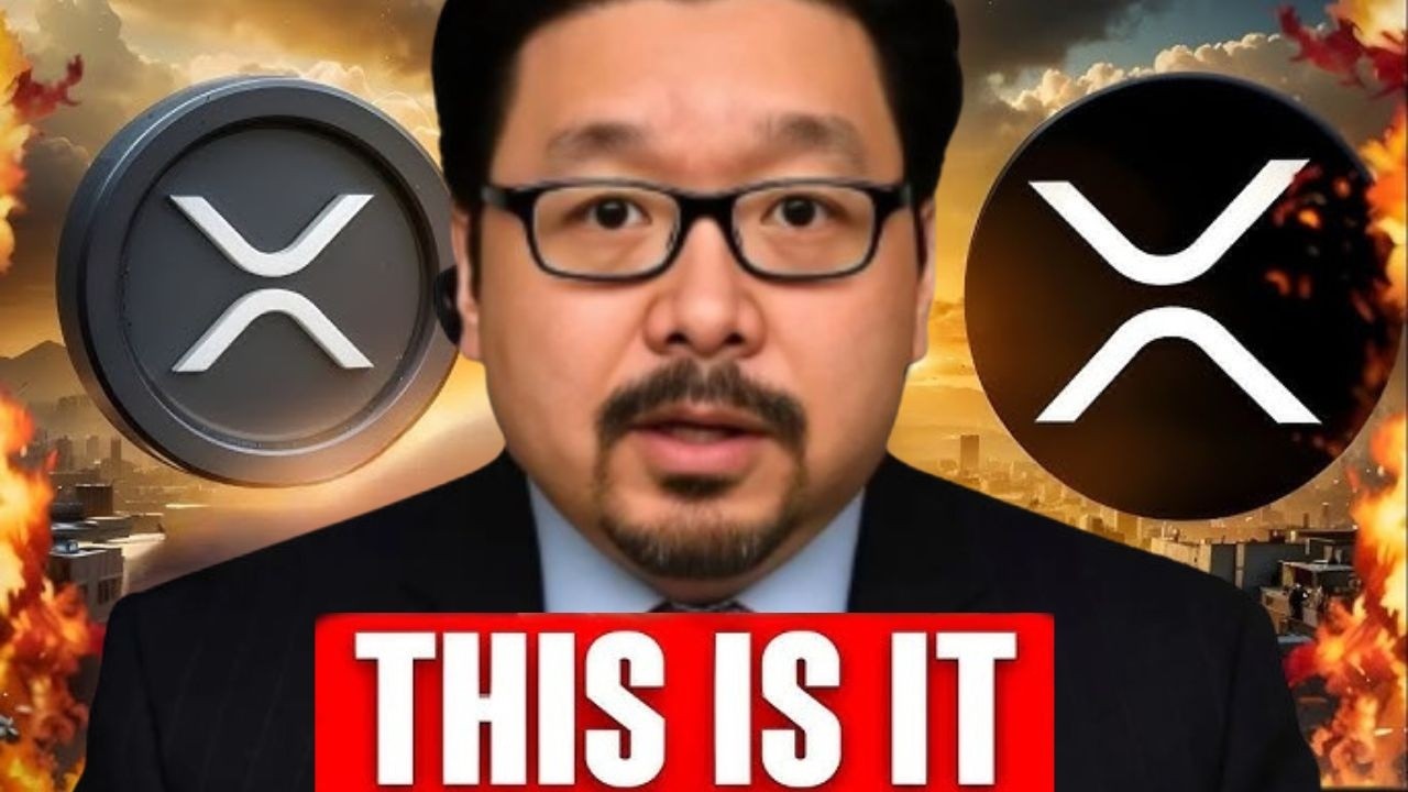 XRP HOLDERS EVERYTHING IS COLLAPSING! PLEASE LISTEN