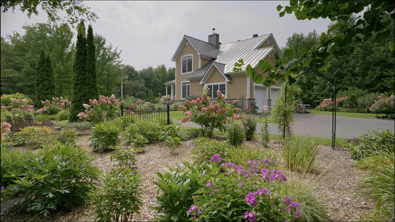 A Blooming Paradise: Lucie & Pierre's Garden with Hibiscus and Hydrangeas.