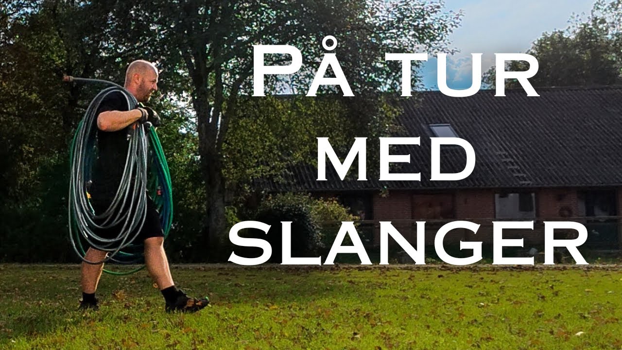 Farvel til svin, slanger og sommer...
