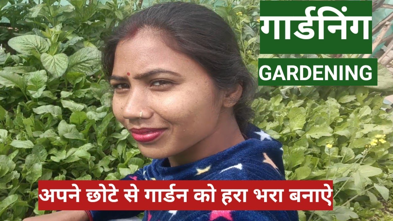 Garden, मेरा गार्डन 