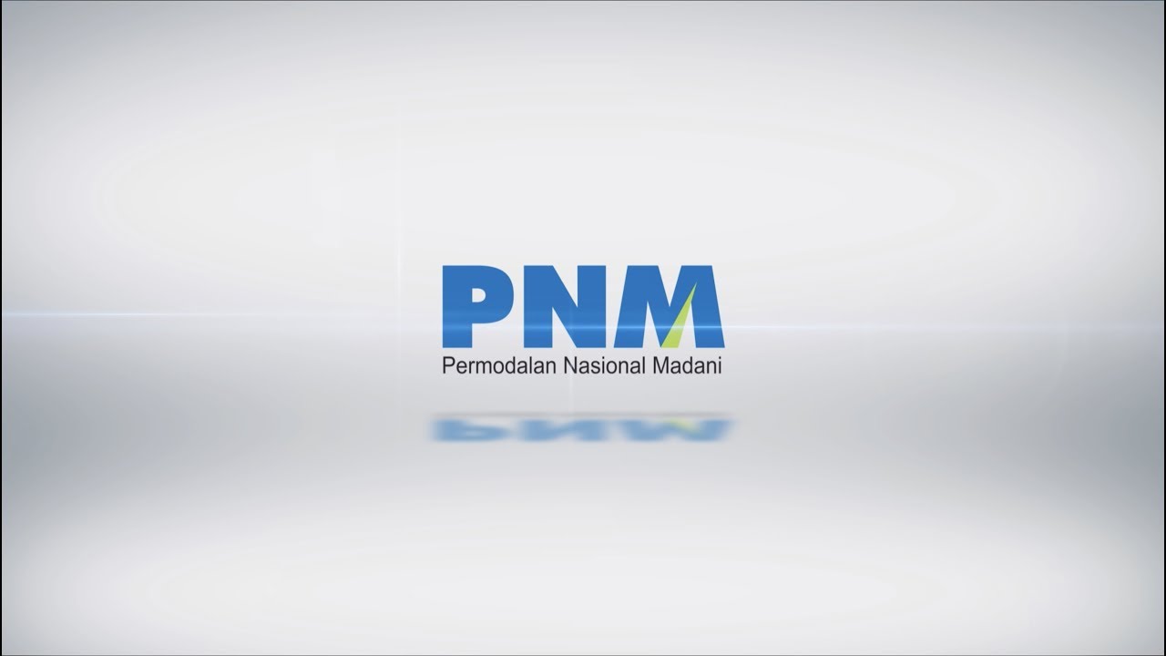 PNM PROFILE 2018