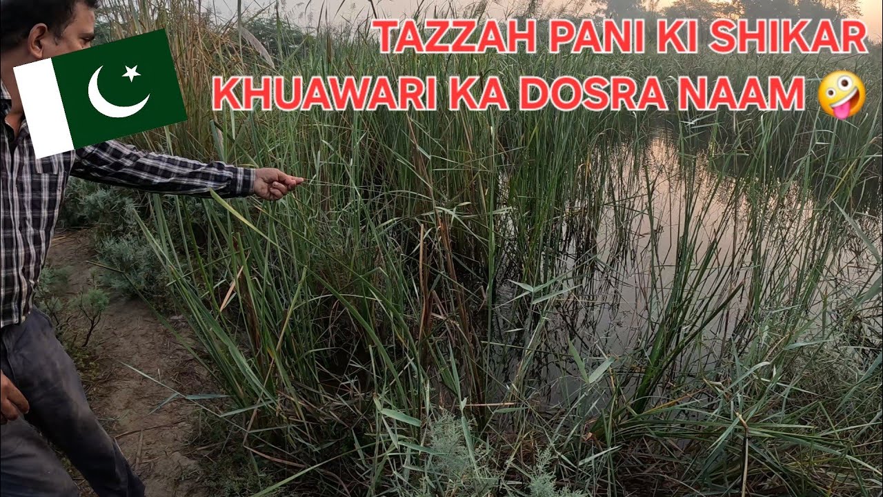 Fishing in Pakistan | 🥹 OR 😍 The Fresh Water Experience 